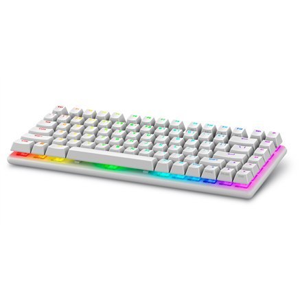 Dell 545-BBFR Alienware Pro Gaming Keyboard Wireless US Alienware Linear Mechanical Lunar Light Bluetooth Dell 545-BBFR Alienware Pro Gaming Keyboard Wireless US Alienware Linear Mechanical Lunar Light Bluetooth