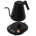 Czajnik Adler | AD 1349 | Elektryczny | 1100 W | 1 L | Stal nierdzewna | Podstawa obrotowa 360° | Czarny/złoty