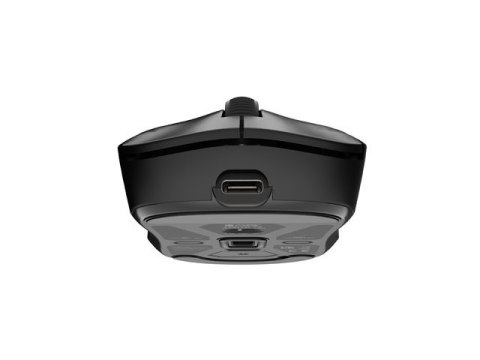 Fury Gaming Mouse | Tanto T4 | Wired/Wireless | 2.4 GHz, Bluetooth, USB | Black Fury Gaming Mouse | Tanto T4 | Wired/Wireless | 2.4 GHz, Bluetooth, USB | Black
