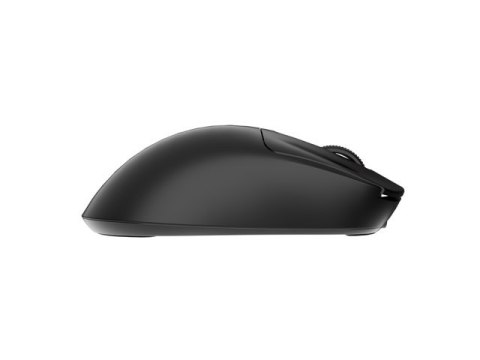 Fury Gaming Mouse | Tanto T4 | Wired/Wireless | 2.4 GHz, Bluetooth, USB | Black Fury Gaming Mouse | Tanto T4 | Wired/Wireless | 2.4 GHz, Bluetooth, USB | Black