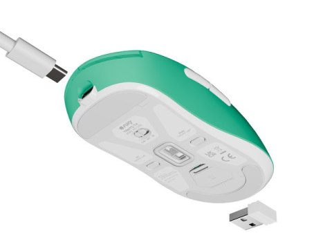 Fury Gaming Mouse | Tanto T4 | Wired/Wireless | 2.4 GHz, Bluetooth, USB | Mint Fury Gaming Mouse | Tanto T4 | Wired/Wireless | 2.4 GHz, Bluetooth, USB | Mint