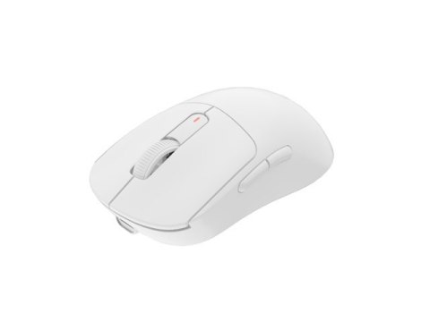 Fury Gaming Mouse | Tanto T4 | Wired/Wireless | 2.4 GHz, Bluetooth, USB | White Fury Gaming Mouse | Tanto T4 | Wired/Wireless | 2.4 GHz, Bluetooth, USB | White