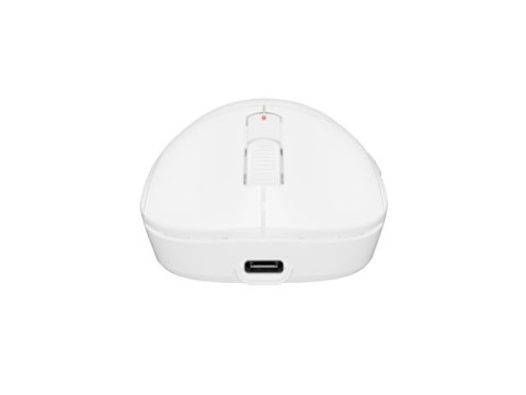 Fury Gaming Mouse | Tanto T4 | Wired/Wireless | 2.4 GHz, Bluetooth, USB | White Fury Gaming Mouse | Tanto T4 | Wired/Wireless | 2.4 GHz, Bluetooth, USB | White