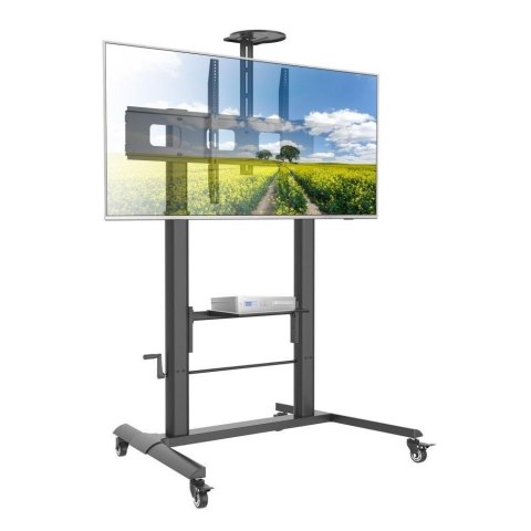 Stojak mobilny Techly do tablicy interaktywnej 52"-110", 120kg z półką Stojak mobilny Techly do tablicy interaktywnej 52"-110", 120kg z półką