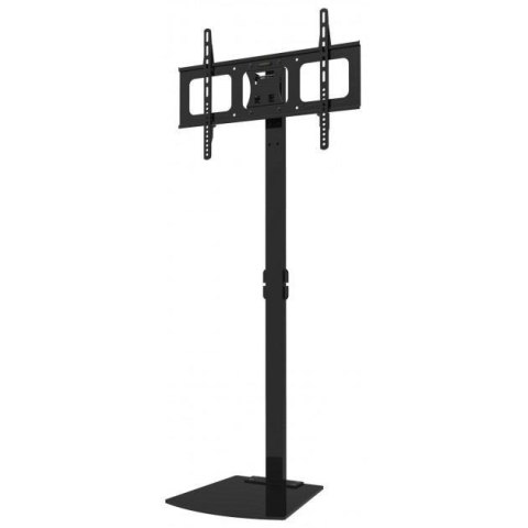 Stojak podłogowy Techly 32"-70", 45kg regulowany Stojak podłogowy Techly 32"-70", 45kg regulowany