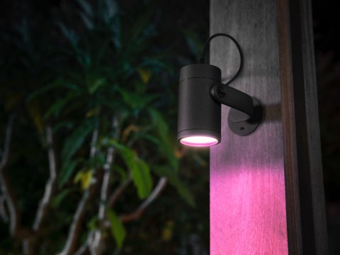 Philips Hue WCA Lily Outdoor Spot Light Base 24V | Philips Hue Philips Hue WCA Lily Outdoor Spot Light Base 24V | Philips Hue