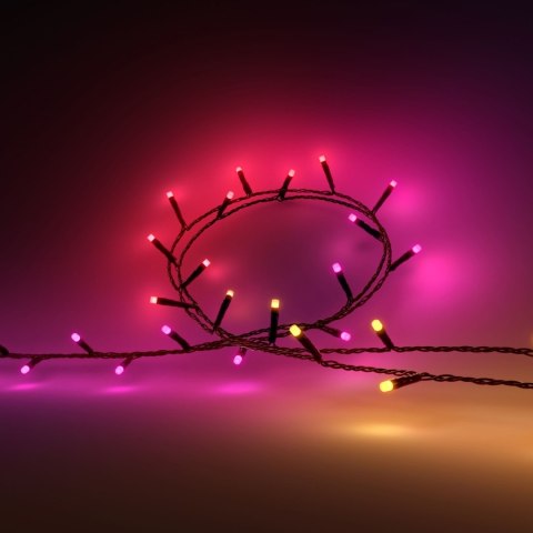 Philips Hue Festavia oświetlenie sznurkowe 250 LED, 20 m|14 W|zmienne Philips Hue Festavia oświetlenie sznurkowe 250 LED, 20 m|14 W|zmienne