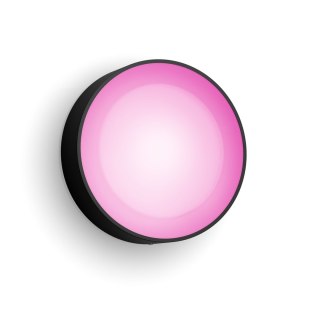 Philips Hue WCA Daylo Outdoor Wall Lantern, Black | Philips Hue