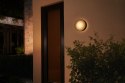 Philips Hue WCA Daylo Outdoor Wall Lantern, Black | Philips Hue