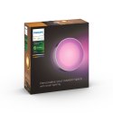 Philips Hue WCA Daylo Outdoor Wall Lantern, Inox | Philips Hue