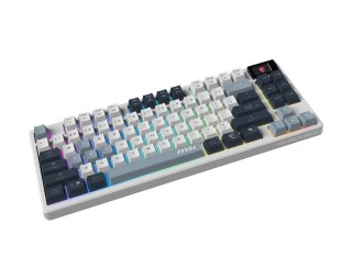 MSI FORGE GK600 TKL WIRELESS SKY | Klawiatura do gier | Bezprzewodowa | USA | Bluetooth | 2,4 GHz, Bluetooth, USB 2.0 | Mechanic