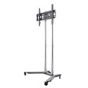 EDBAK | TR1c-B | Wózki i stojaki | 40-75 " | Maksymalna waga (udźwig) 80 kg | Czarny