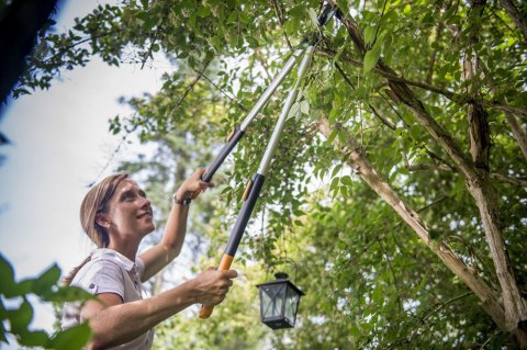 Fiskars SmartFit Telescopic Lopper L86 Telescopic Lopper