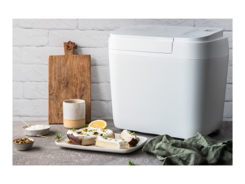 Panasonic | Wypiekacz do chleba | SD-B2510 | Moc 550 W | Liczba programów 21 | Wyświetlacz Tak | Biały