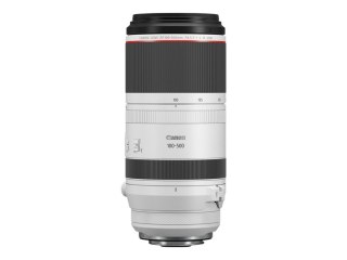 Canon LENS RF100-500MM F4.5-7.1 L IS USM Canon