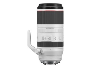 Canon LENS RF100-500MM F4.5-7.1 L IS USM Canon