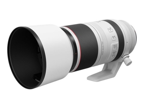 Canon LENS RF100-500MM F4.5-7.1 L IS USM Canon