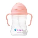 5216 BIDON ZE SŁOMKĄ TUTI FRUTTI BB00521