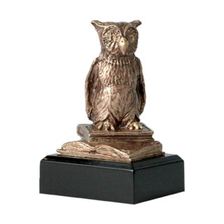 Figurka odlewana szkoła - sowa - nauka RTY630/BR