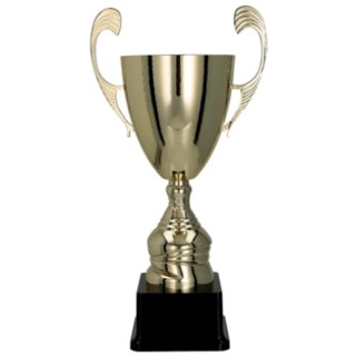 Puchar metalowy złoty T-D