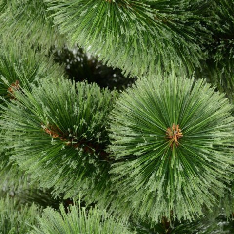 CHOINKA ŻYŁKA KLARA ROZCZEPIONA 200CM