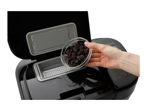 Panasonic | Wypiekacz do chleba | SD-R2530 | Moc 550 W | Liczba programów 30 | Wyświetlacz Tak | Czarny