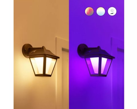 WiZ Smart WiFi Outdoor Wall Light Classic Wizarding World