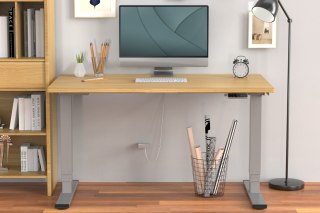 Stojak podłogowy Digitus | DA-90435 Elektryczna rama stołu | Regulacja wysokości | Maksymalna waga (udźwig) 100 kg | Szary