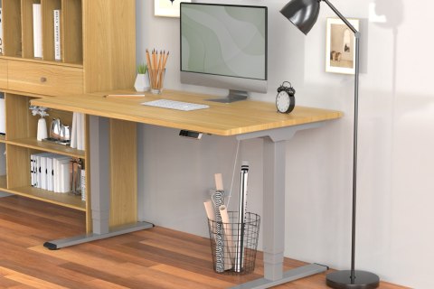 Stojak podłogowy Digitus | DA-90435 Elektryczna rama stołu | Regulacja wysokości | Maksymalna waga (udźwig) 100 kg | Szary