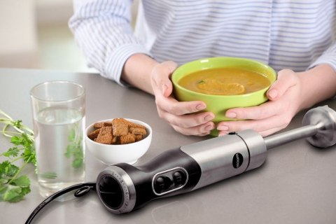Rozdrabniacz blender ELDOM BL210 SWIT Rozdrabniacz blender ELDOM BL210 SWIT