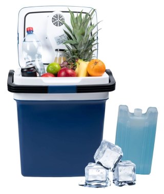 Lodówka turystyczna przenośna samochodowa 29L 220-240V DC12V funkcja grzania wkład gratis niebieska