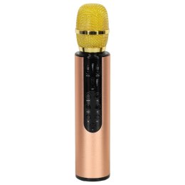 Mikrofon bezprzewodowy karaoke dla dzieci głośnik Bluetooth 2000mAh karta SD USB wysoka jakość złoty