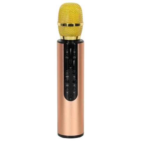 Mikrofon bezprzewodowy karaoke dla dzieci głośnik Bluetooth 2000mAh karta SD USB wysoka jakość złoty Mikrofon bezprzewodowy karaoke dla dzieci głośnik Bluetooth 2000mAh karta SD USB wysoka jakość złoty