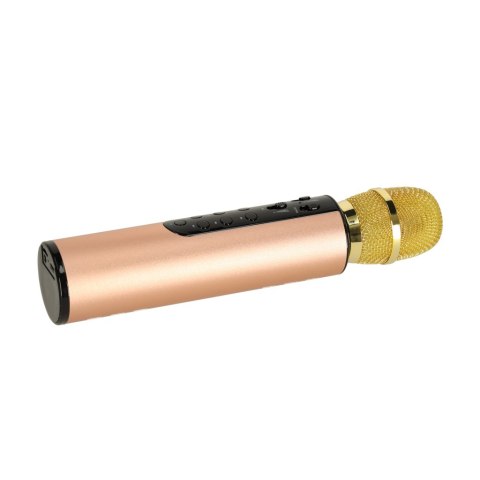 Mikrofon bezprzewodowy karaoke dla dzieci głośnik Bluetooth 2000mAh karta SD USB wysoka jakość złoty Mikrofon bezprzewodowy karaoke dla dzieci głośnik Bluetooth 2000mAh karta SD USB wysoka jakość złoty