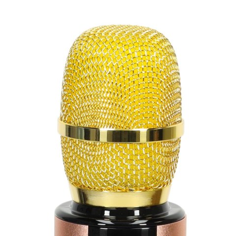 Mikrofon bezprzewodowy karaoke dla dzieci głośnik Bluetooth 2000mAh karta SD USB wysoka jakość złoty Mikrofon bezprzewodowy karaoke dla dzieci głośnik Bluetooth 2000mAh karta SD USB wysoka jakość złoty