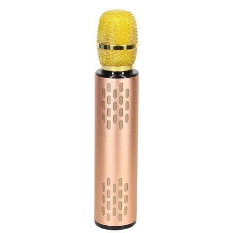 Mikrofon bezprzewodowy karaoke dla dzieci głośnik Bluetooth 2000mAh karta SD USB wysoka jakość złoty Mikrofon bezprzewodowy karaoke dla dzieci głośnik Bluetooth 2000mAh karta SD USB wysoka jakość złoty