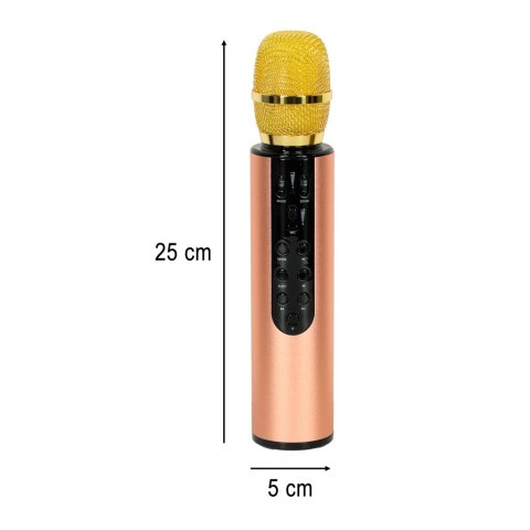 Mikrofon bezprzewodowy karaoke dla dzieci głośnik Bluetooth 2000mAh karta SD USB wysoka jakość złoty Mikrofon bezprzewodowy karaoke dla dzieci głośnik Bluetooth 2000mAh karta SD USB wysoka jakość złoty