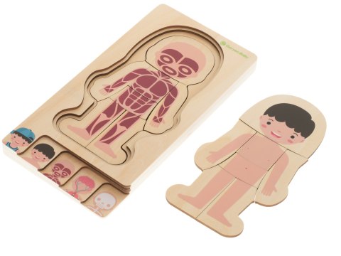 Puzzle drewniane warstwowe budowa ciała montessori chłopiec Puzzle drewniane warstwowe budowa ciała montessori chłopiec
