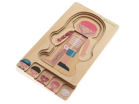 Puzzle drewniane warstwowe budowa ciała montessori chłopiec Puzzle drewniane warstwowe budowa ciała montessori chłopiec