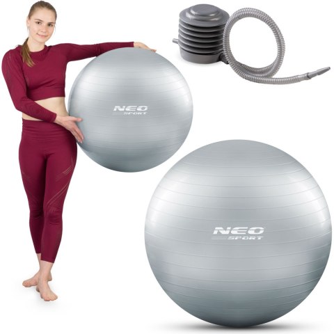 Piłka do ćwiczeń 65 cm NS-951 srebrna Piłka do ćwiczeń 65 cm NS-951 srebrna