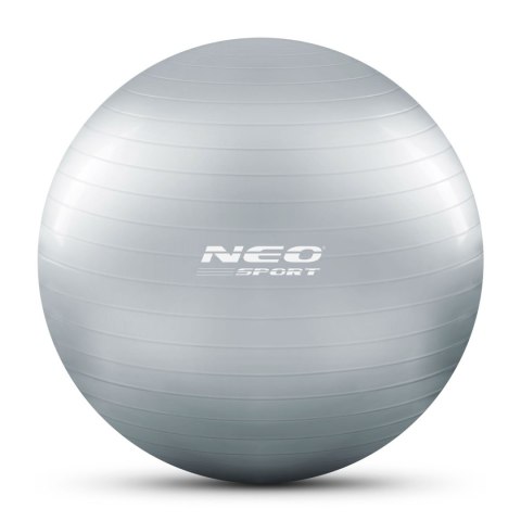 Piłka do ćwiczeń 65 cm NS-951 srebrna Piłka do ćwiczeń 65 cm NS-951 srebrna