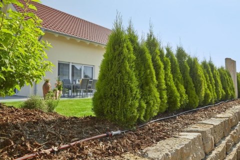 LINIA KROPLUJĄCA DO RZĘDÓW ROŚLIN - ZESTAW M MDS LINIA KROPLUJĄCA DO RZĘDÓW ROŚLIN - ZESTAW M MDS