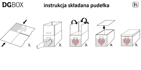 Pudełko kartonowe personalizowane DGBOX SZARE Pudełko kartonowe personalizowane DGBOX SZARE
