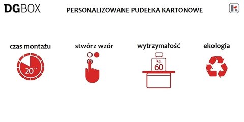 Pudełko kartonowe personalizowane DGBOX SZARE Pudełko kartonowe personalizowane DGBOX SZARE