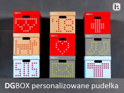 Pudełko kartonowe personalizowane DGBOX SZARE Pudełko kartonowe personalizowane DGBOX SZARE