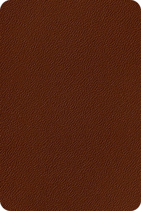 ORANGE 19cm 26mb BRĄZ ORANGE 19cm 26mb BRĄZ