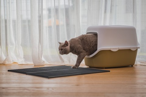 Mata 30x30cm przed kuwetę BIAŁA FIBOO Mata 30x30cm przed kuwetę BIAŁA FIBOO