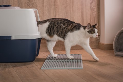 Mata 30x30cm przed kuwetę CIEMNO-SZARA FIBOO Mata 30x30cm przed kuwetę CIEMNO-SZARA FIBOO