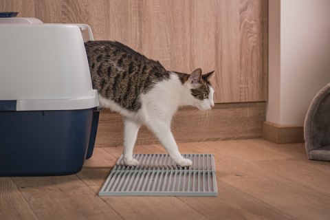 Mata 30x30cm przed kuwetę CZARNA FIBOO Mata 30x30cm przed kuwetę CZARNA FIBOO