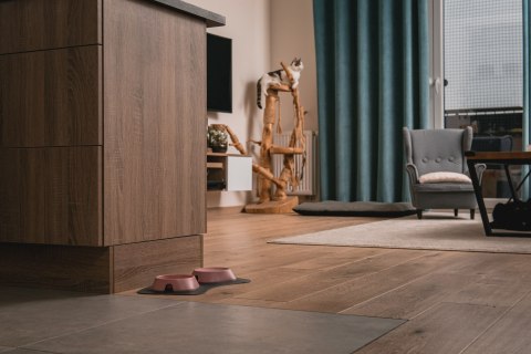 Miska płytka BIAŁA FIBOO Miska płytka BIAŁA FIBOO